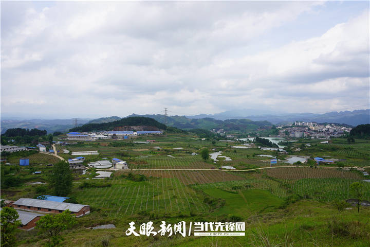 民族要复兴乡村必振兴丹寨人口最多的村他们这样管理产业