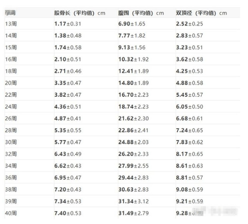 34周胎儿体重图片