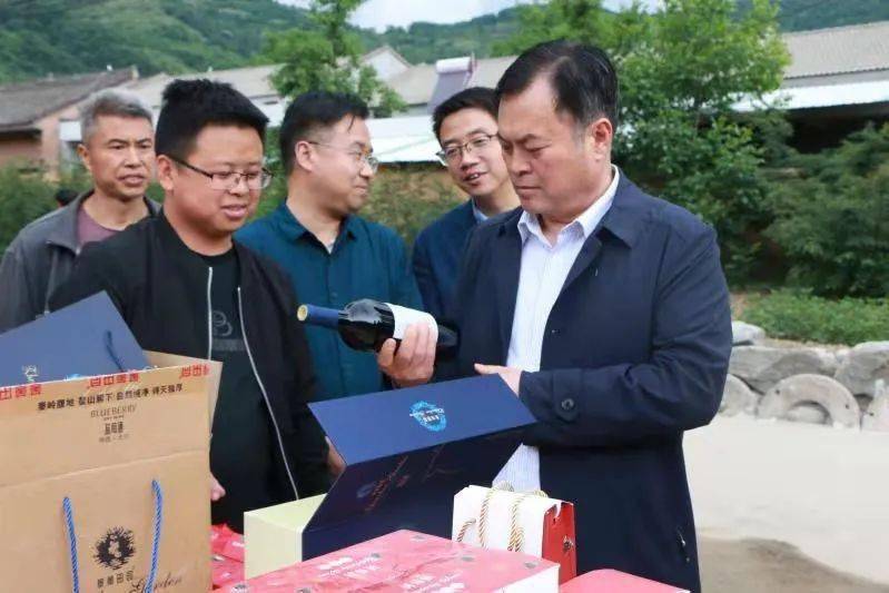 县委书记田来锁调研指导桃川镇,鹦鸽镇重点工作_整治