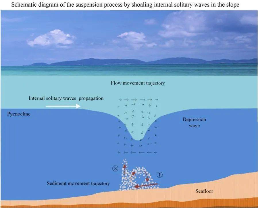 淺化內孤立波懸浮沉積物過程示意圖