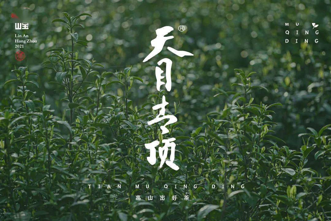 茶文化历史悠久,茶品质更是名闻遐迩,其中天目青顶,龙井茶,天目红茶等