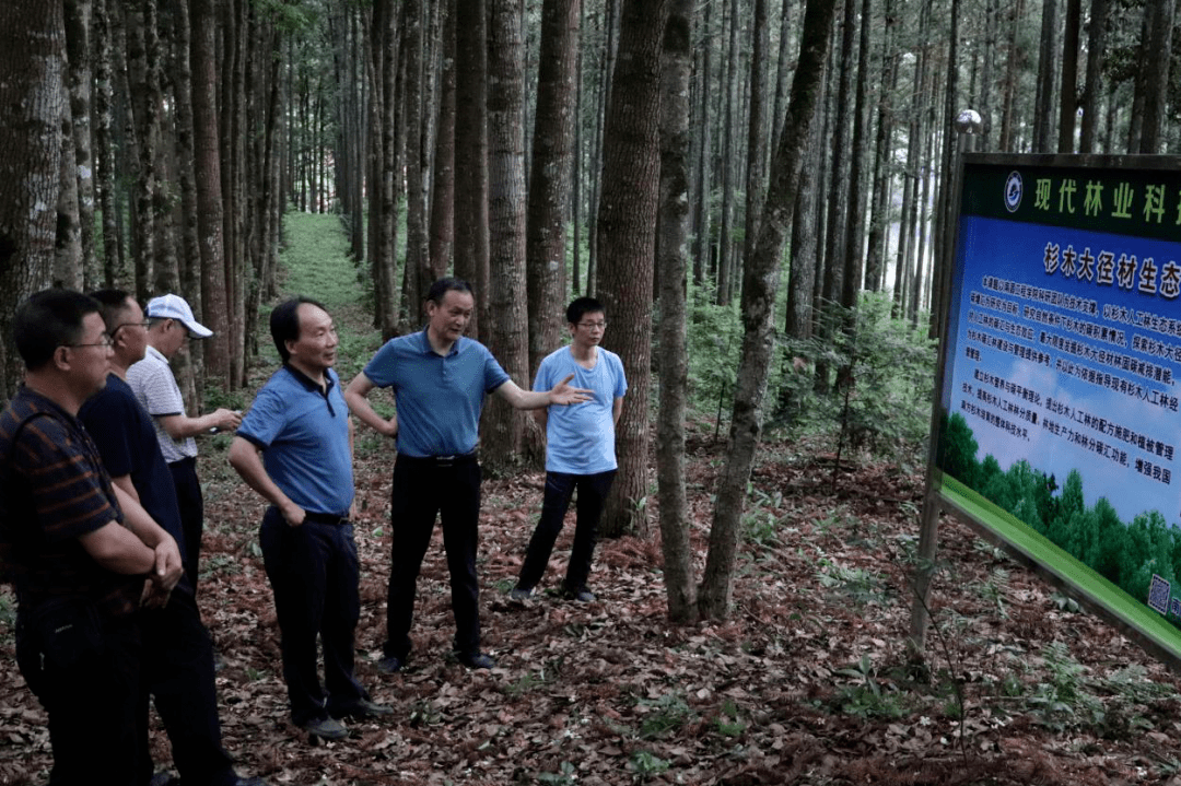 福建省林业局领导到三明市检查指导省级保障性苗圃和林木良种基地建设