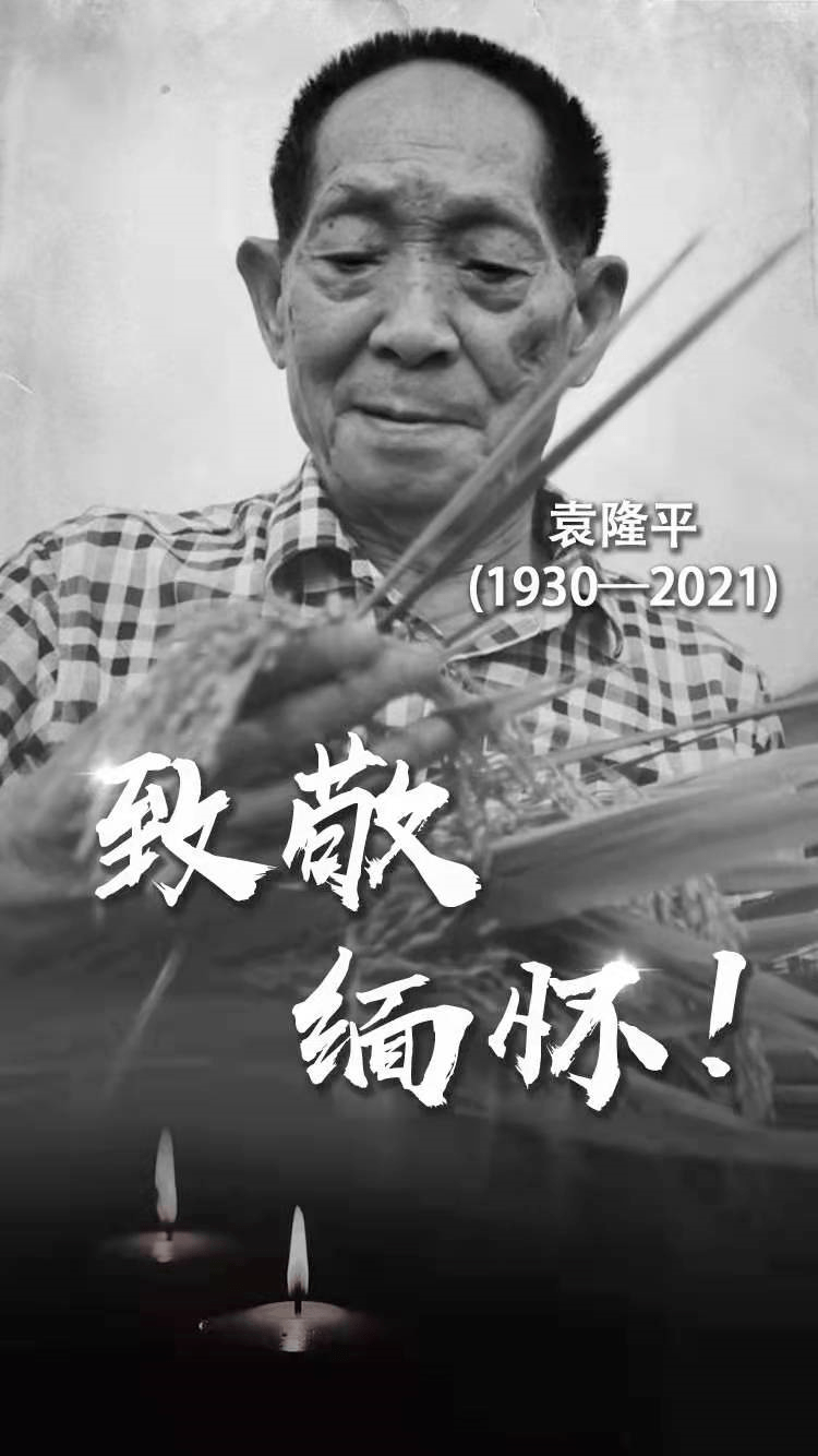 研究|袁隆平逝世，享年91岁