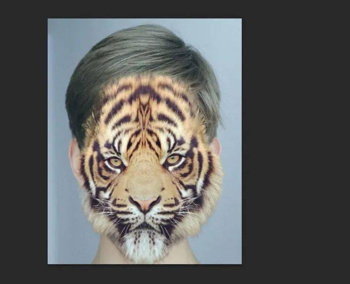 ps教程超详细恶搞换脸教程