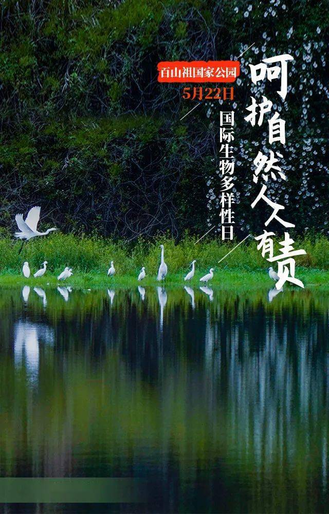 国际生物多样性日呵护自然人人有责