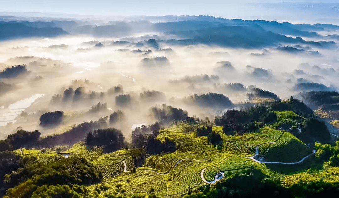 國際山地旅遊日|看山,看世界的金佛山