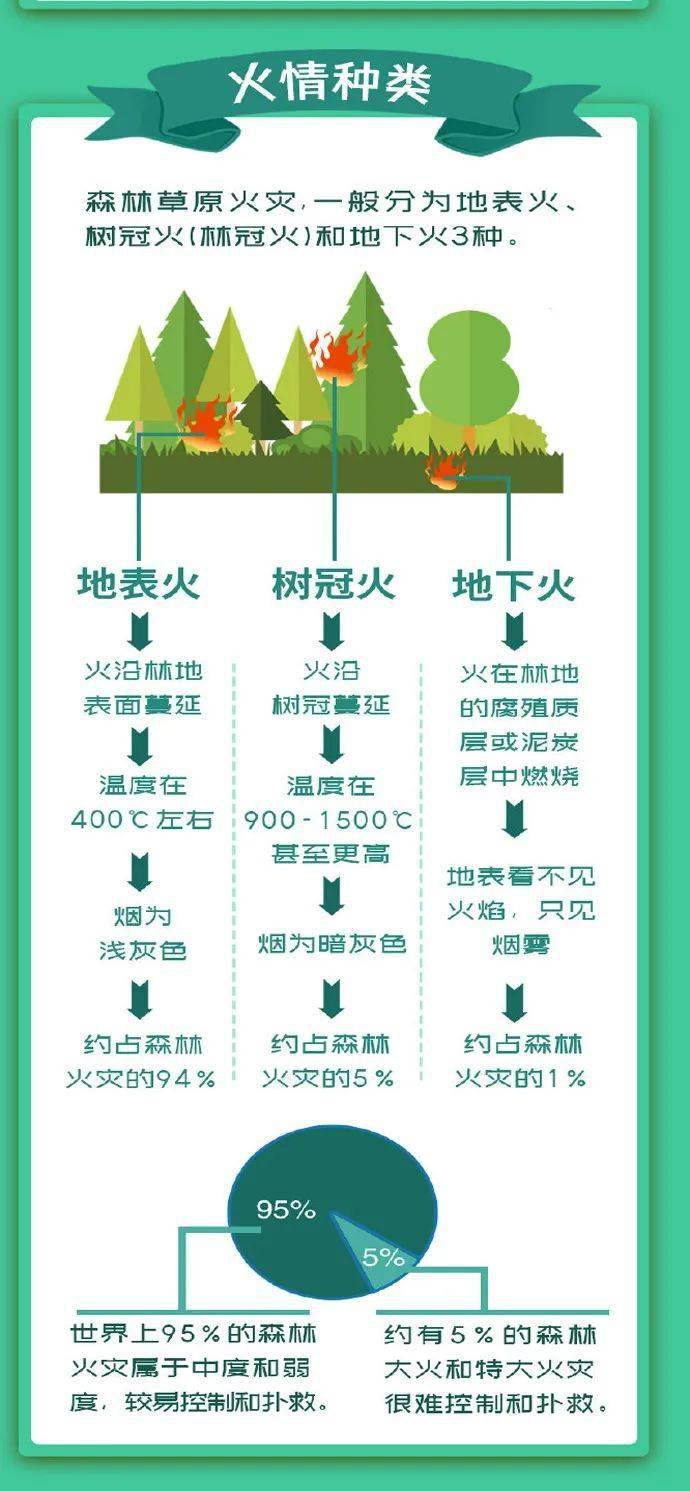 森林草原火灾分几种该如何区分一起来学习