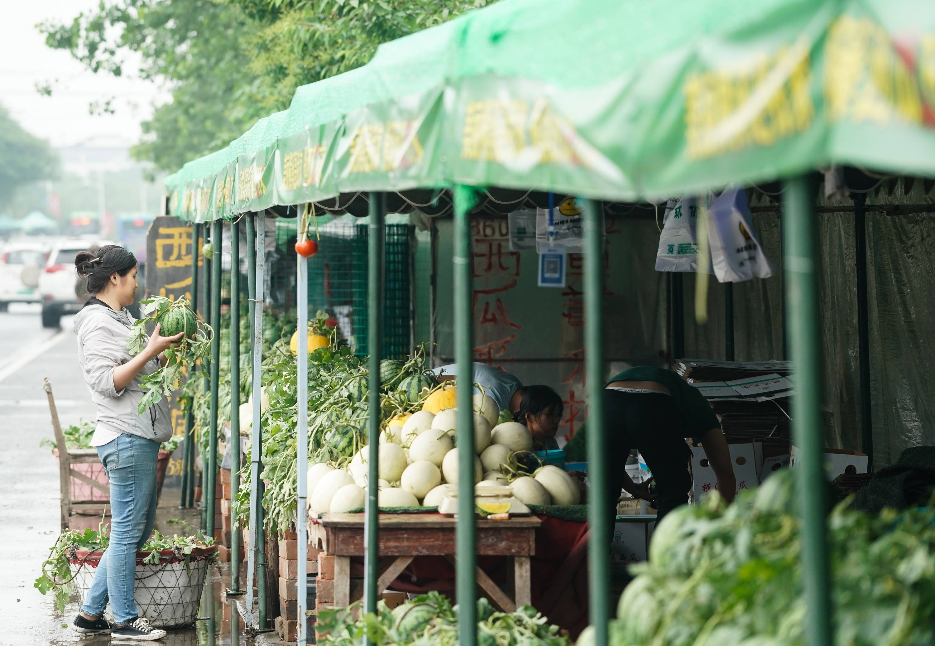南京江宁横溪举办西瓜节