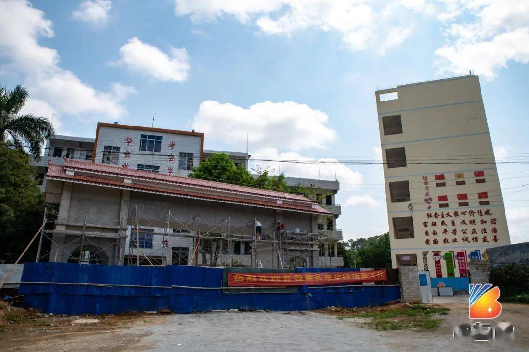 高考前夕博白那林的老凤凰树又开花了