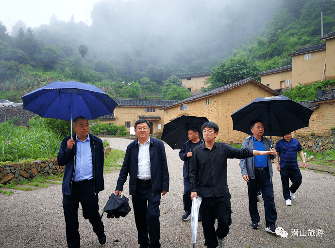 涂高生到松阳县考察民宿产业发展工作