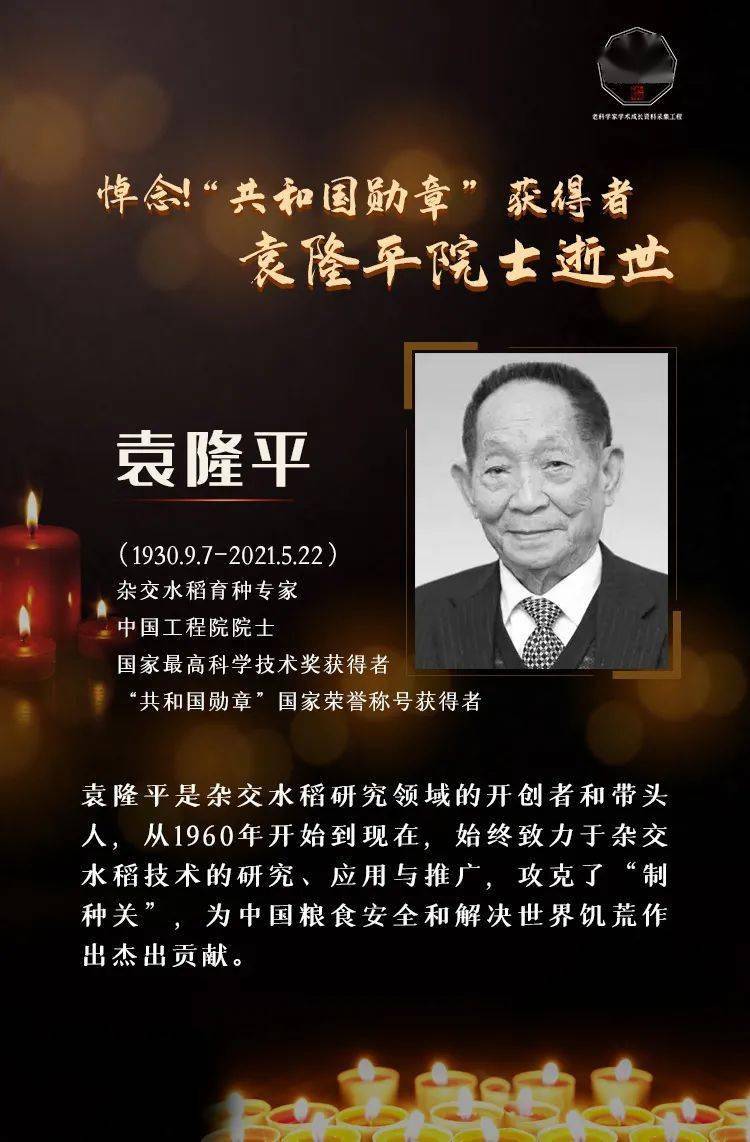 一日痛别|双星陨落_吴孟超