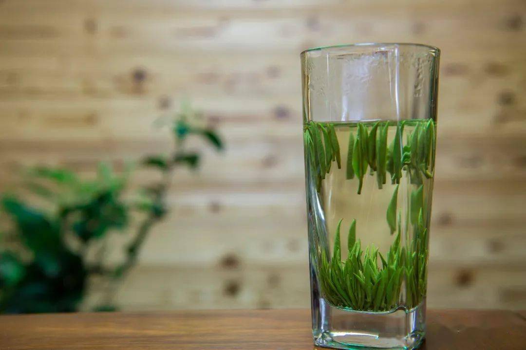 【常德市商务局促消费】湖南老字号企业推介 石门渫峰牌"牛抵茶"