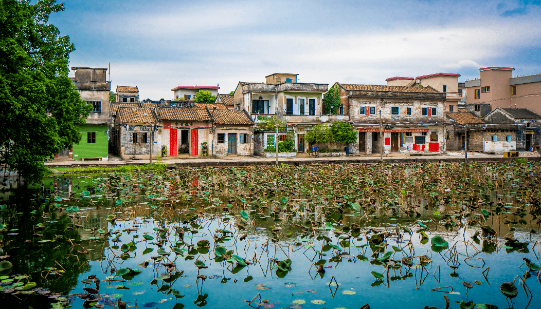 乡村振兴一齐撑顺德杏坛代表佛山出战省乡村振兴大擂台