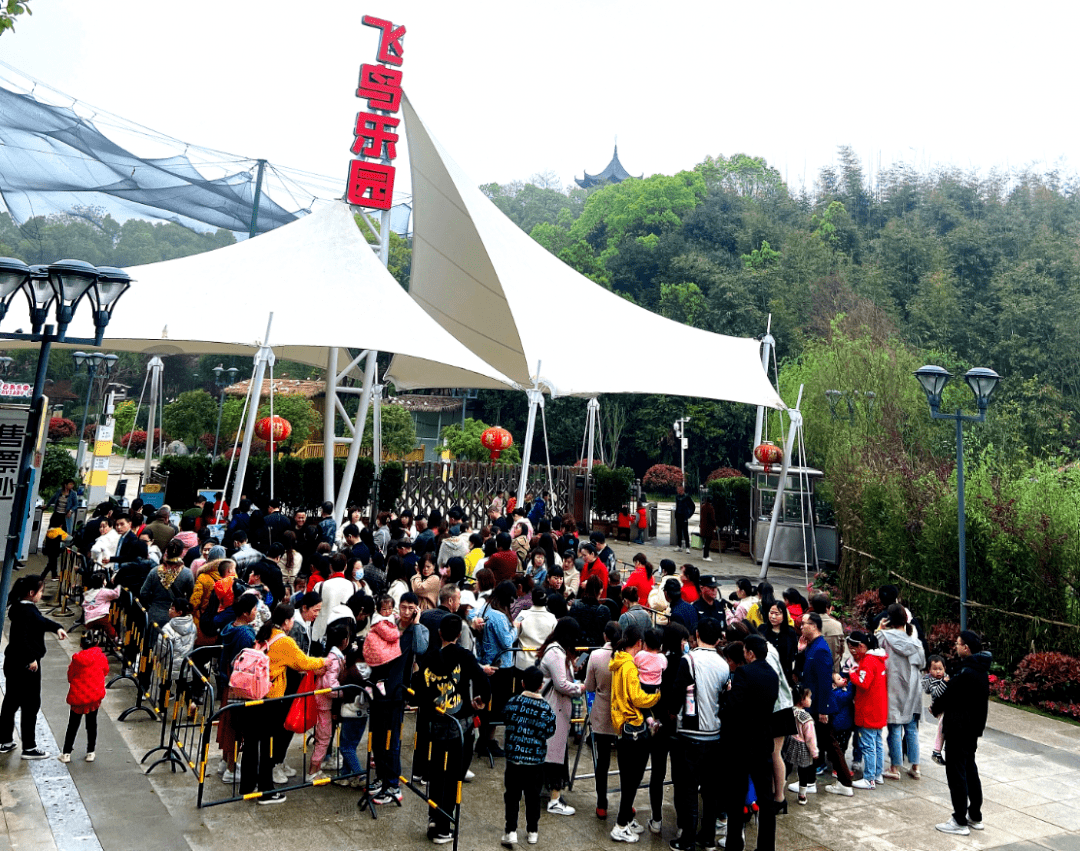 诶就是玩长沙飞鸟乐园门票免费送上百种珍稀鸟类超治愈