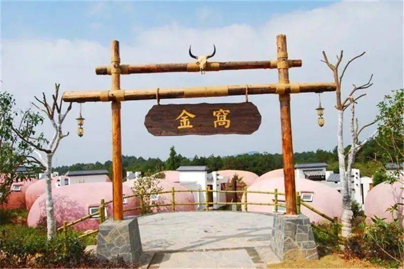 298静享慢生活永泰云顶蛋居休闲二日游