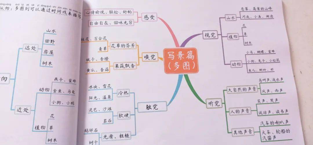 写景的示例,让孩子知道如何运用思维导图抓住写作的逻辑.