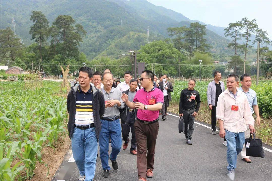 县乡人大阳山县小江镇着力发挥人大代表四个作用助力乡村振兴