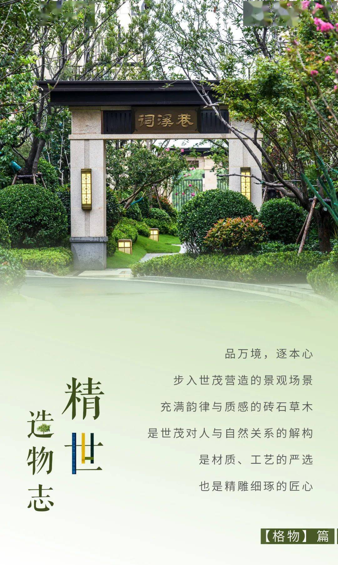 文章配图-43