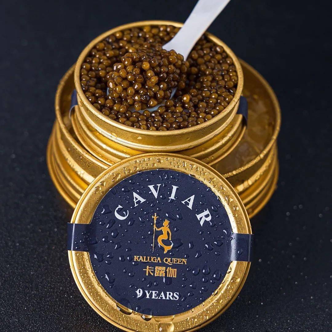 海博瑞鲟   年鱼子酱