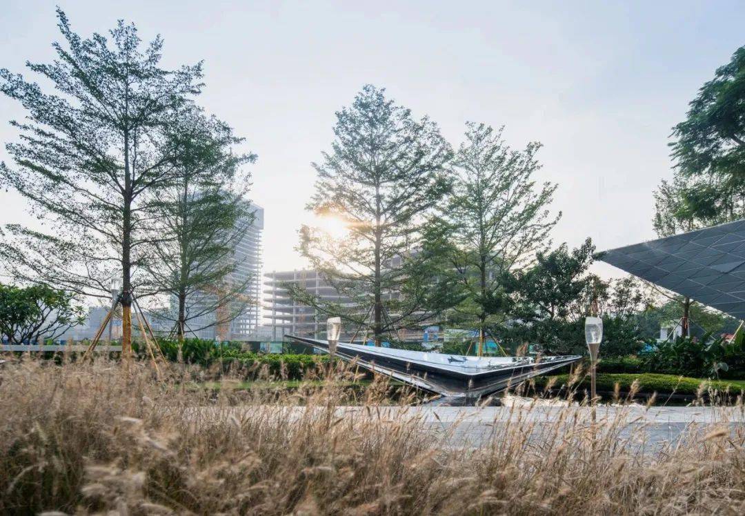 文章配图-13