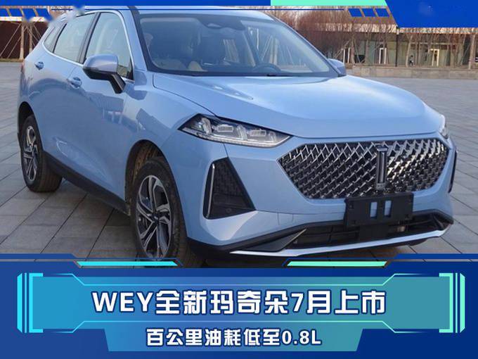wey全新玛奇朵7月上市百公里油耗低至08l或12万起售