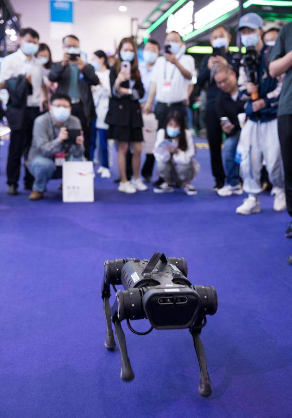 机器人|创新科技闪耀数博会