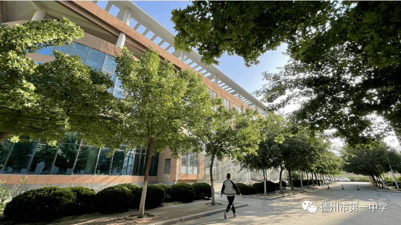 杏福采摘节共享文明果德州一中新校区第二届文明校园采摘节