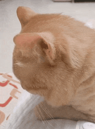 320_435竖版 竖屏gif 动态图 动图