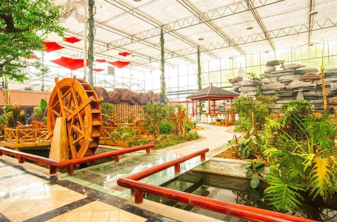 甜甜甜到心坎里蜜桃成熟季果圣山庄约你来采摘