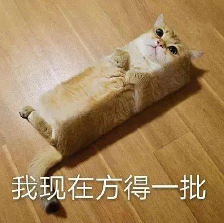 0d71520ec8524b51bda623769205851b.jpeg