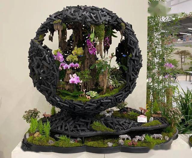 第十届花博会 | 花开盛世 福泽华夏——盆栽花卉专题展_组合