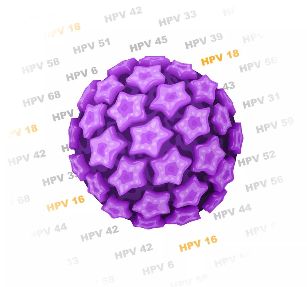 二价、四价、九价 HPV 疫苗该咋选?看完你就懂了!