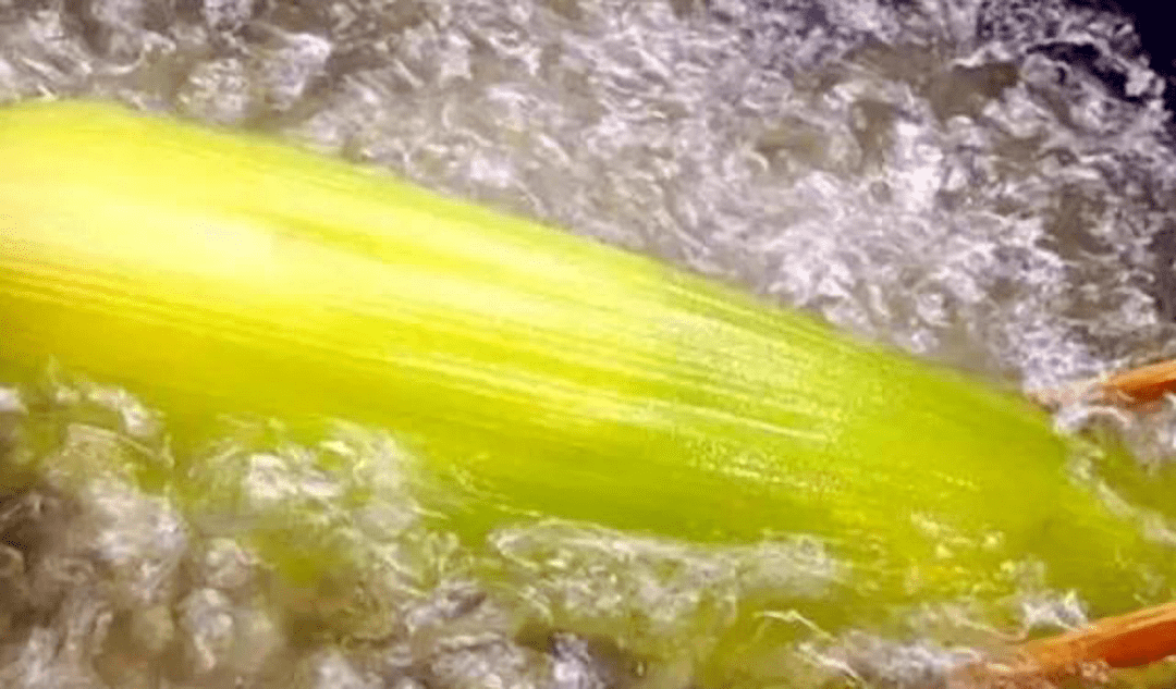 6d12ea11a5654bb5b6f70207d53c682e.png