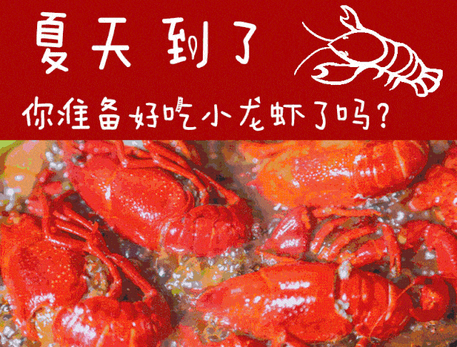 e497ec29e5684b20858d95557cdeaad8.gif