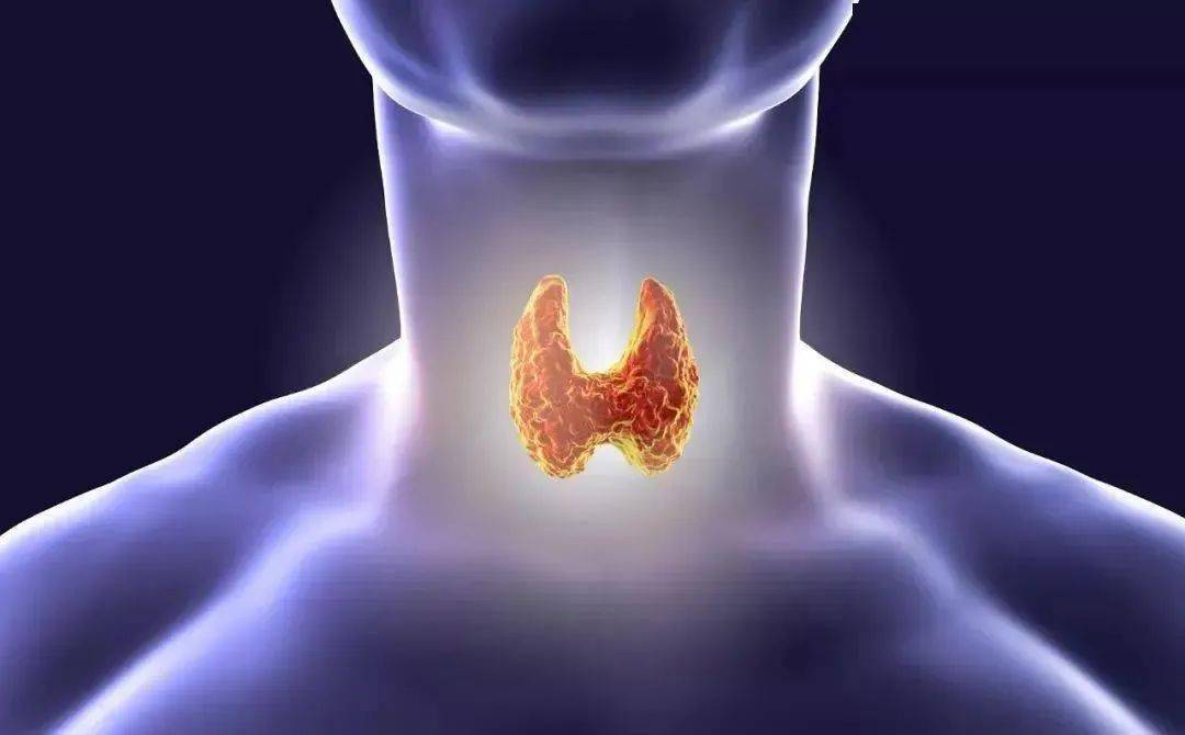 怎么样消除甲状腺结节最有效 eeddb4cb8de143a8b95594f944bfb703.jpeg