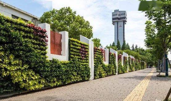 2条滨河绿地,4个城市出入口交通绿地及白洋湾综合公园等绿化和景观