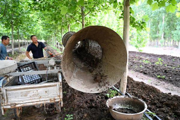 河北柏乡:蚯蚓养殖拓宽增收路