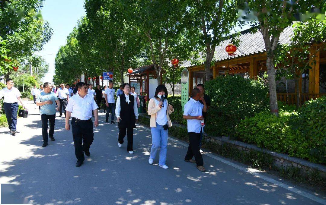 学史守初心规范促落实丨张庄镇举行党史学习教育暨村级工作规范化启动