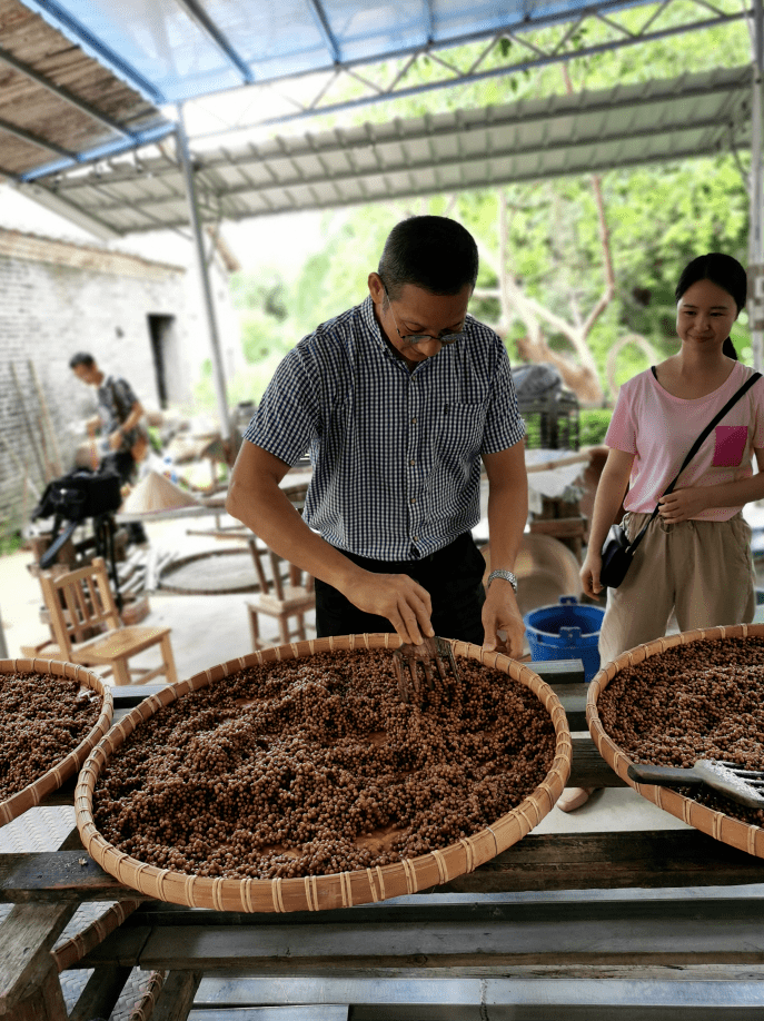 非遗调研|走进合浦乾江古镇,探寻沙谷米制作技艺
