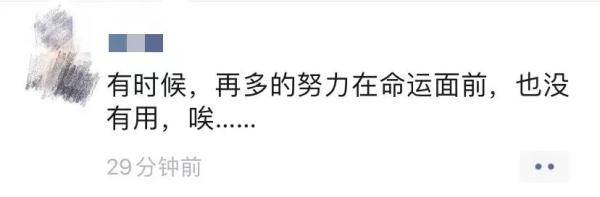 品读 | 失败叫人“认命”,爱却叫人“不服输”