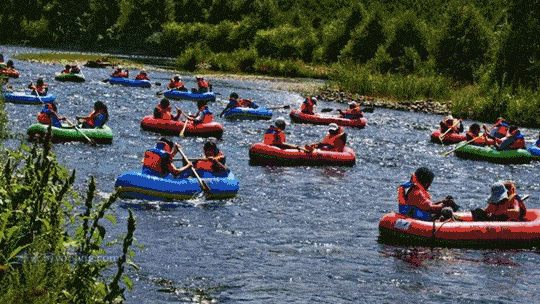 540_304gif 动态图 动图