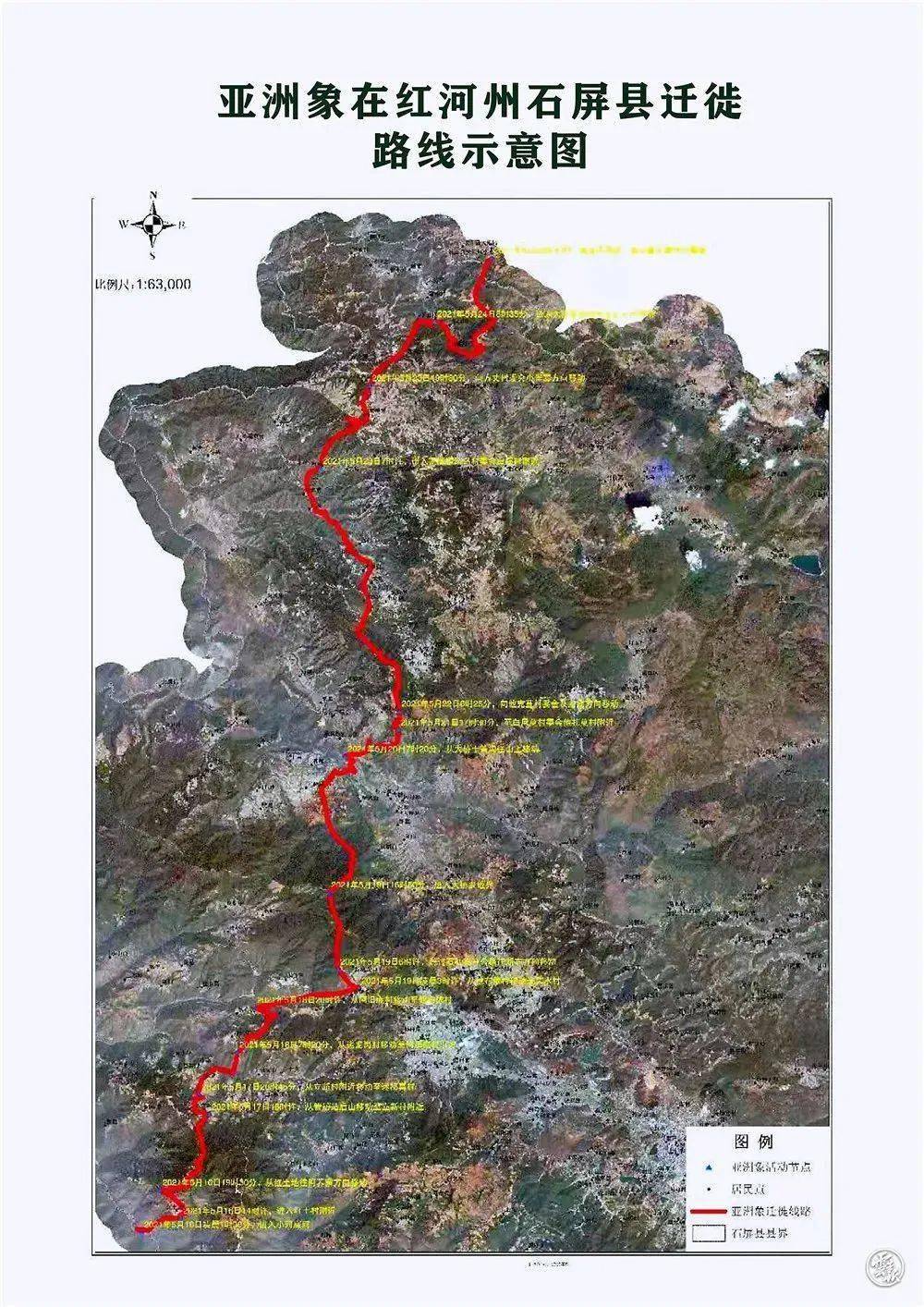 一路象北云南15头北迁野象临近昆明