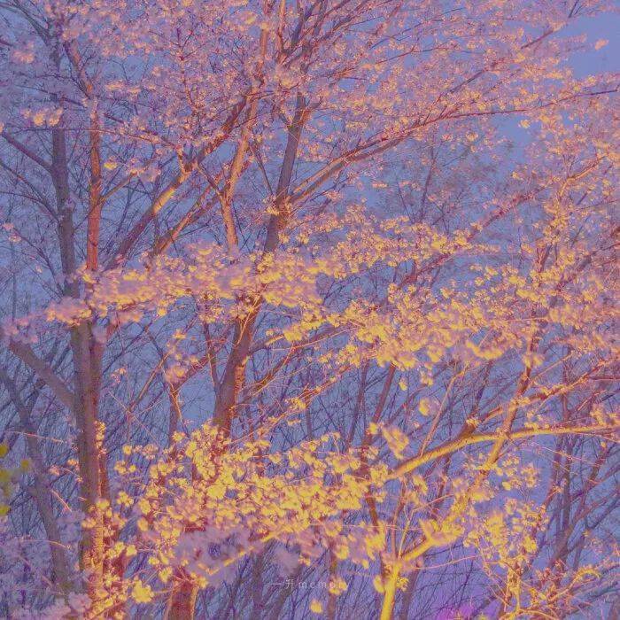 风景专用微信头像图片