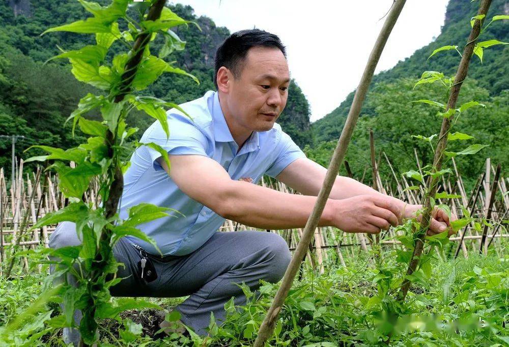 人物访谈我就是一个农民