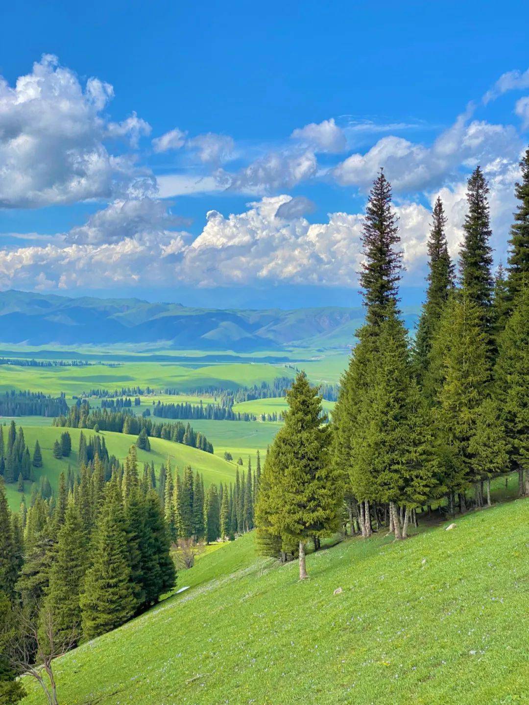 宅在大理旅行篇天空草原