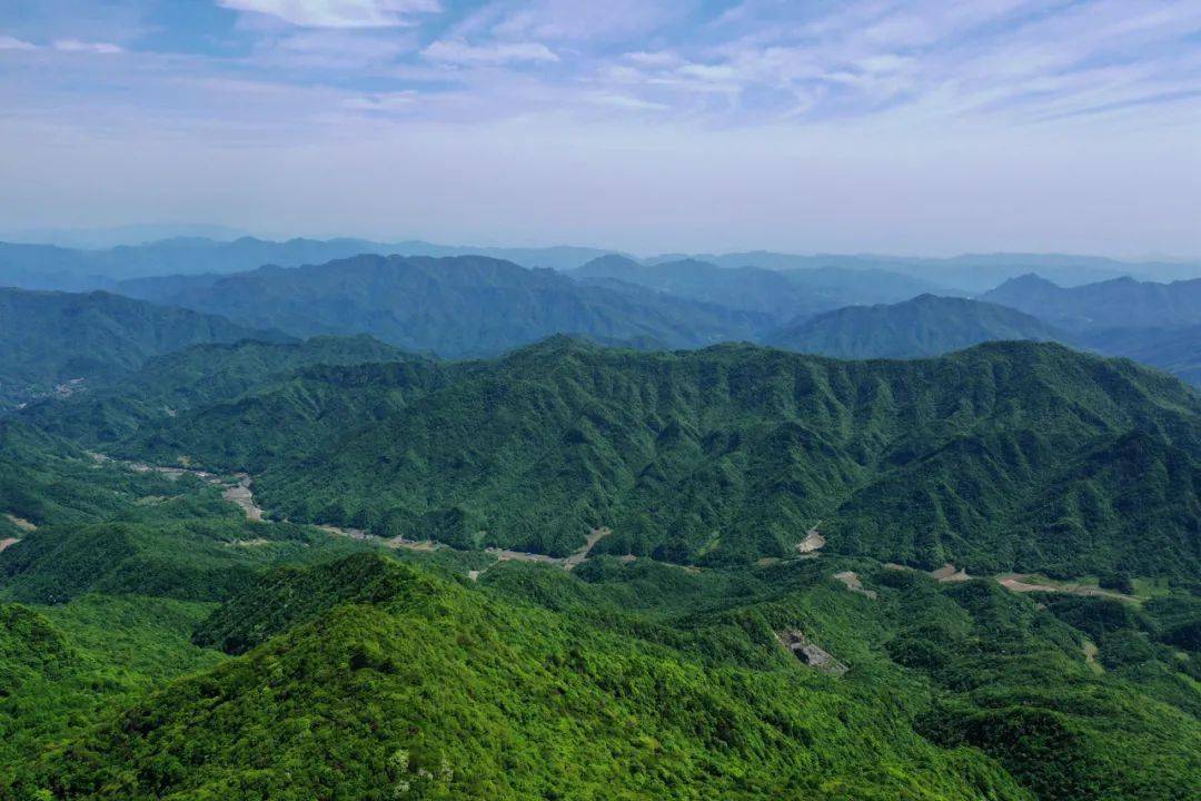 登营盘山顶赏海棠花开网友活动作品展播一