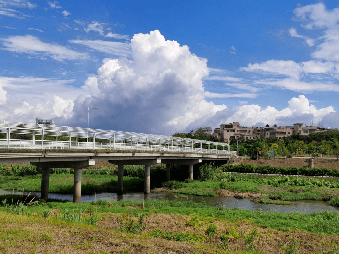 惠阳坪山河图片