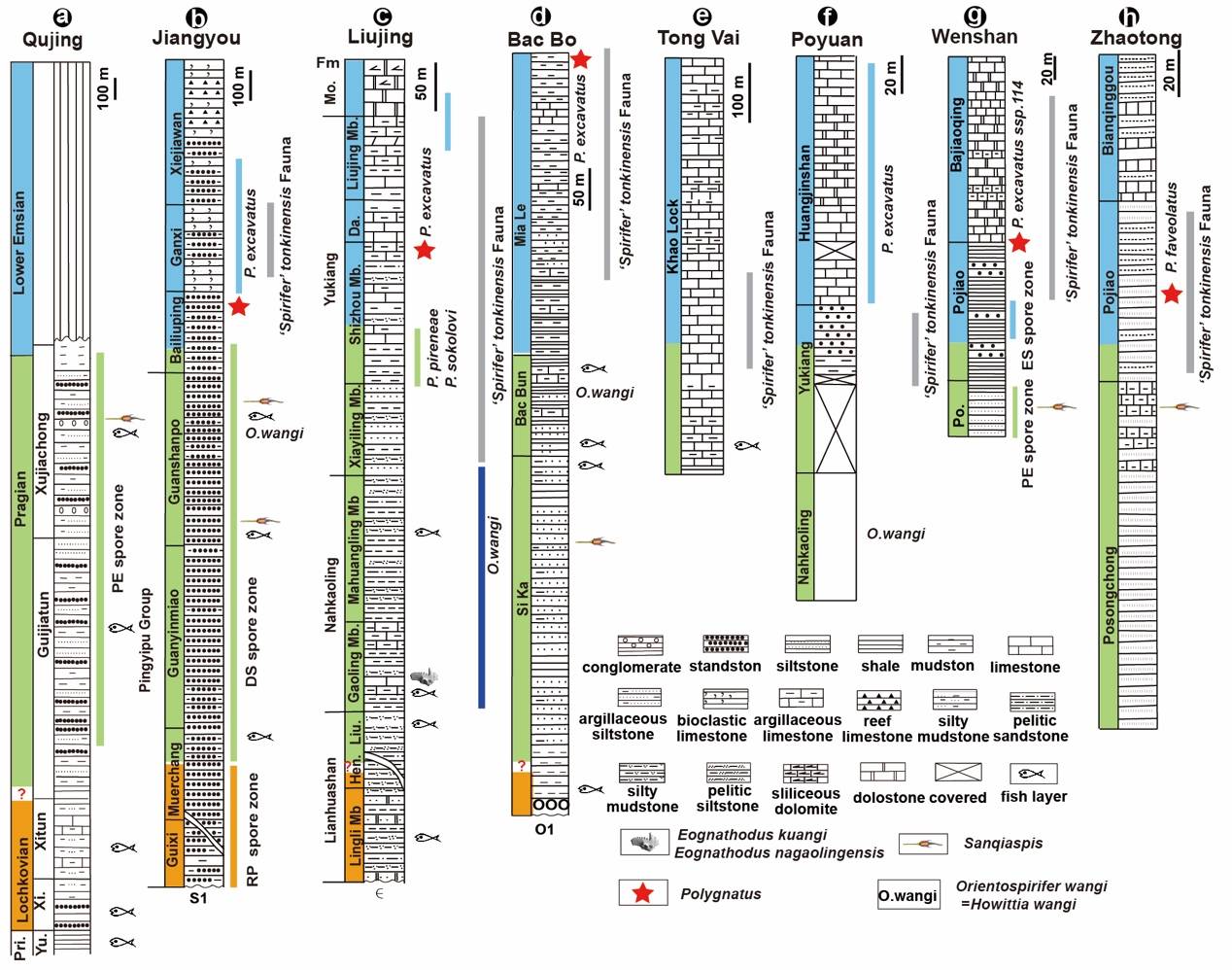 华南|云南曲靖发现4.1亿年前“游动”的三叉戟，名为长吻三岐鱼
