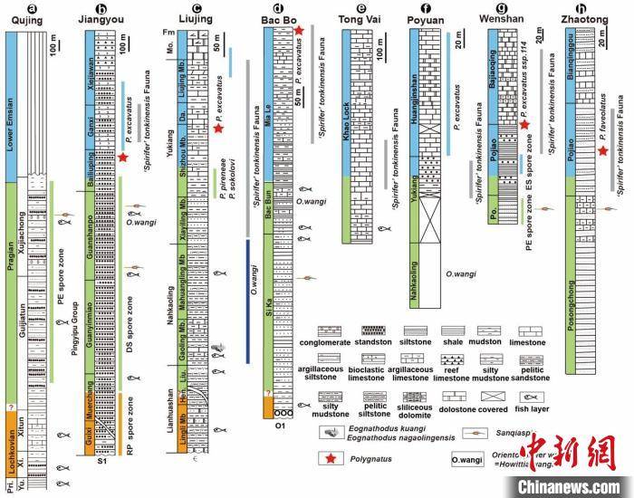 华南|4.1亿年前游动的“三叉戟” 中国科学家在云南曲靖首次发现长吻三歧鱼