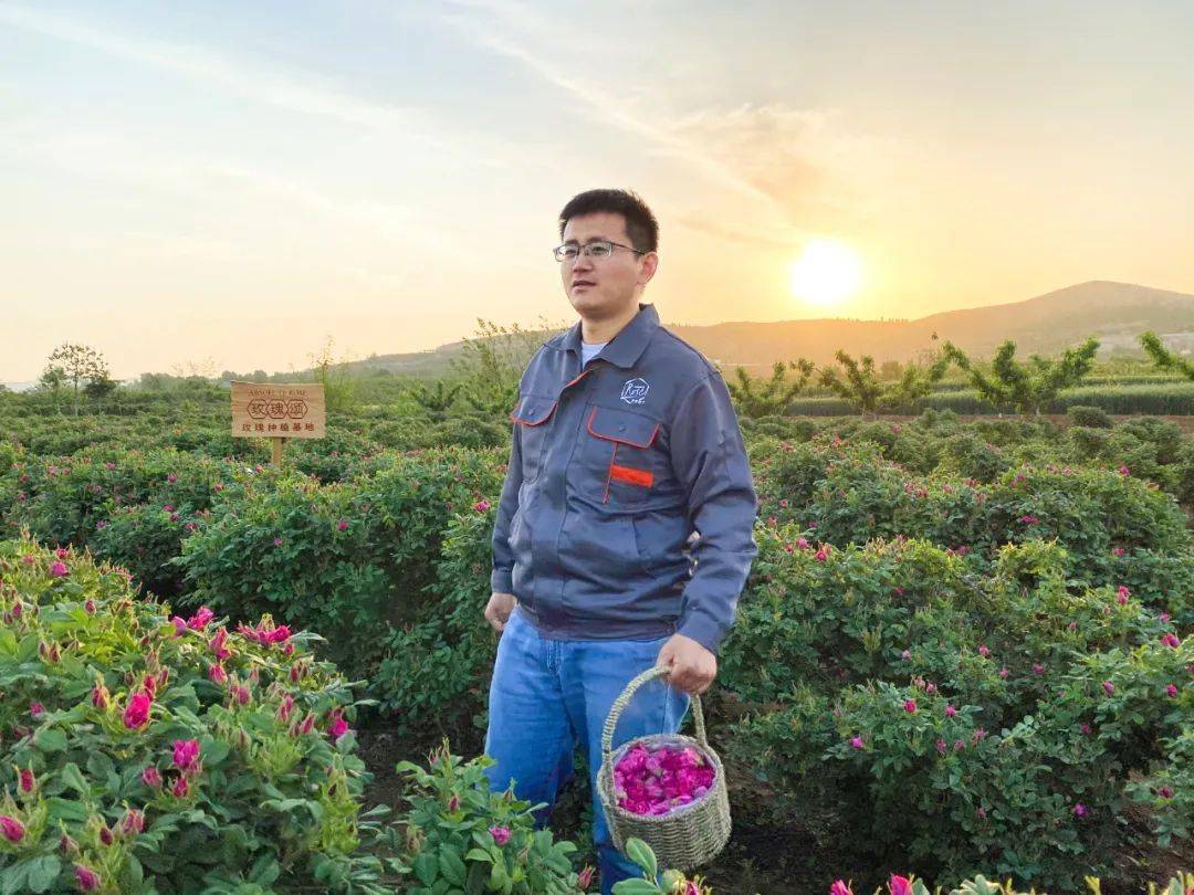 志刚哥把家乡的平阴玫瑰做成面膜膏,张女士用了后,整个脸白嫩的像个瓷